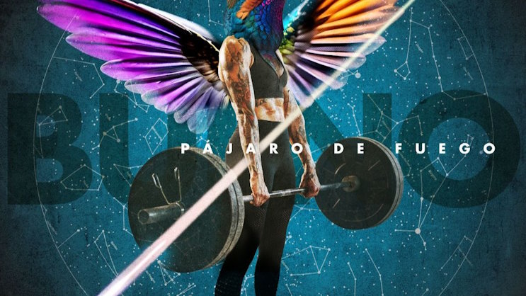 Bueno pajaro de fuego