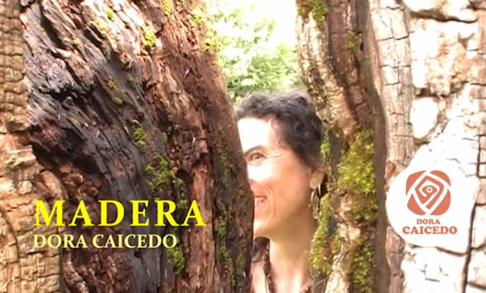 Dora Caicedo Madera