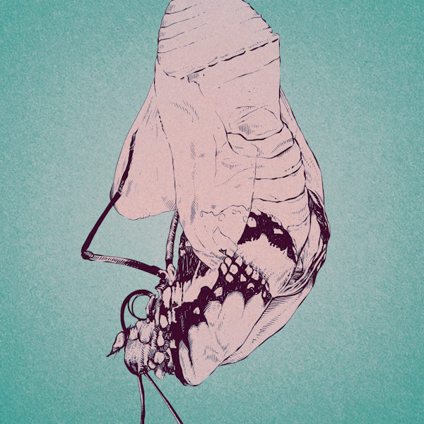 Enana White Roto de Miedo