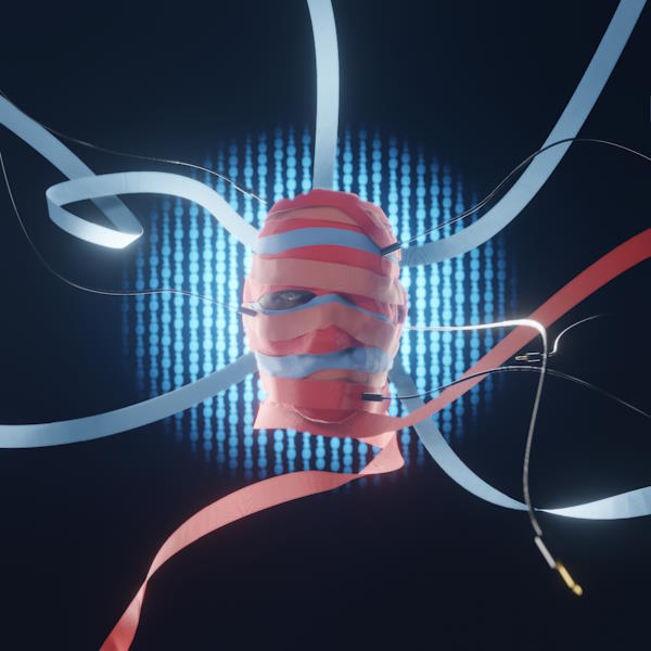 Face cacher le monde chante album cover