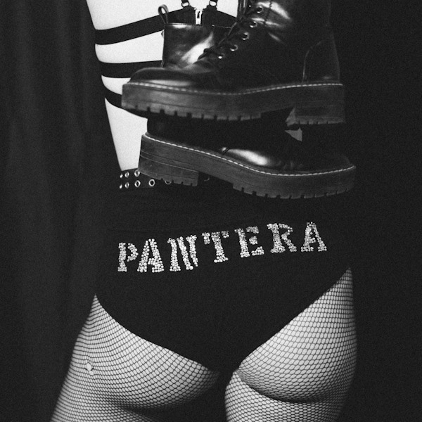 Los Guerreros pantera