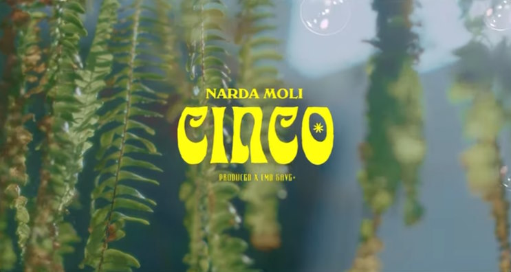 Narda Moli Cinco