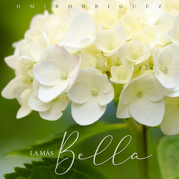 Omi Rodriguez la ms bella