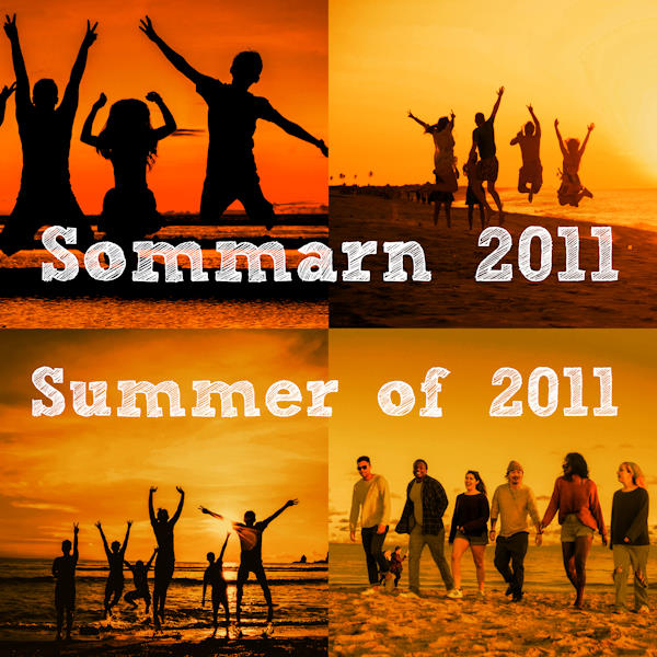 Project Earthbridge sommarn 2011