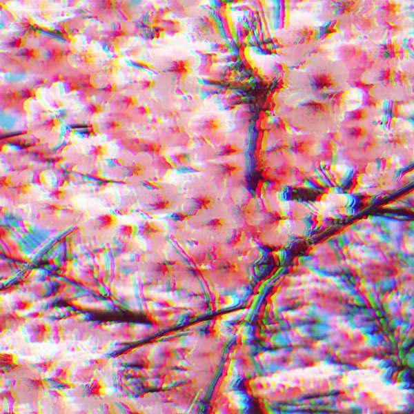 The Lovelines slow high